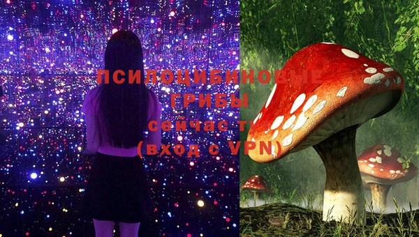 бошки Волосово