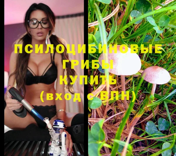 бошки Волосово